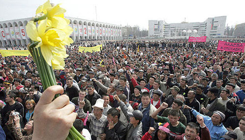 ��������֯���������ҵġ���ɫ������