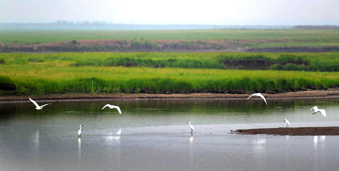 ����֮����ͥ������ˮΣ����ʪ��ή����̬��