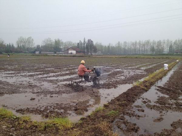 1454550159519374.jpg 1.jpg