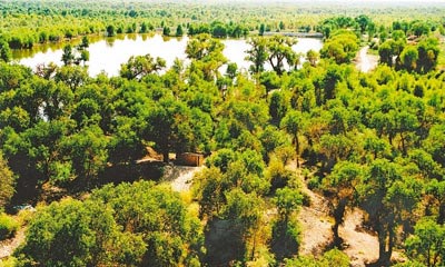 ȫ����60%�ĺ������й����й�90%���ϵĺ������½�