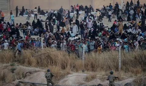 ��ս�����ӽ�:?��������������������Լ�����