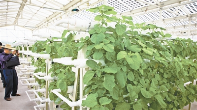 ��ɳ������Ⱥ����������Բ��߲� �����Ҫ���������Ͳ���ʷ