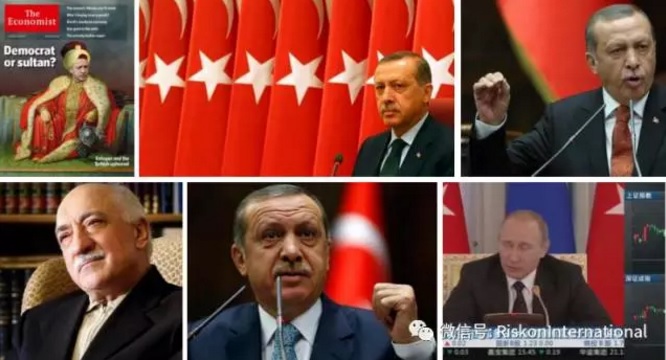 1489544040715345.jpg 刺猬.jpg