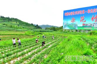 ����Լ��������ʵ����ë�󶫺�����˼��͵�Сƽ�ڶ�����Ծ˼���ָ������