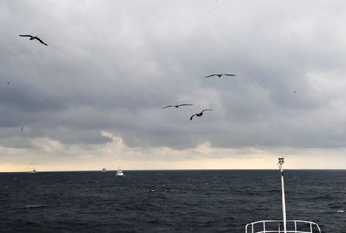 ��ý��ע�й��ڶ����Ϻ����۲���:ǿ��ά������Ȩ��