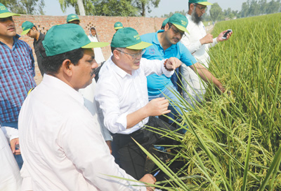 �������ʵ����ѧ�Σ��й��ӽ�ˮ��ר���߽��ͻ�˹̹