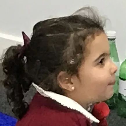 Ӣ������ŷ���׼���Ӣ˫��Сѧ���мҳ�˵������ѧ�С�ǰ;���ϡ�