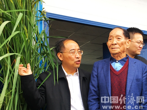 ���͵����ºó���