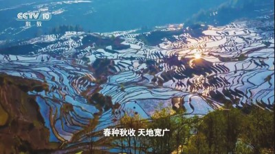 �л�������������ÿ��֧�����б��ڹ���