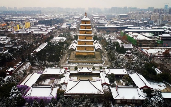 1515380979298004.jpg 法国新一.jpg