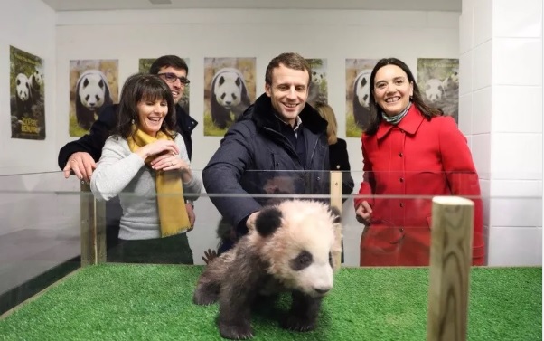 1515381049427680.jpg 法国新二.jpg