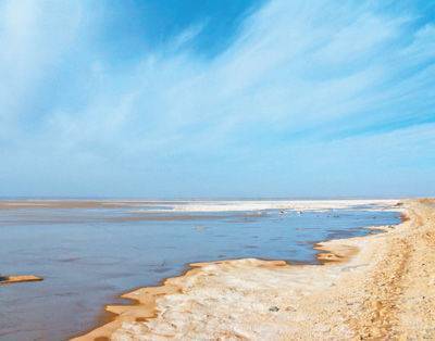 �ػ�һ������ʧ��������ͺ�ͻȻ�����ֱ̲�