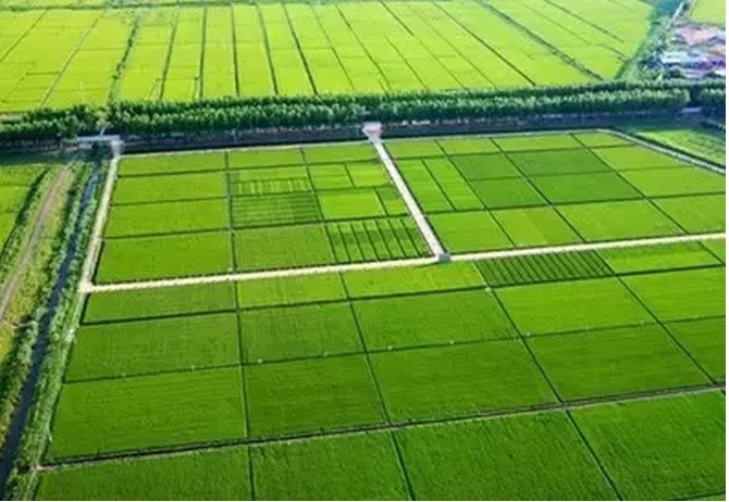 ������ ũҵ���йظ����˾�ȫ���ƿ�ũҵ����������ĸ�������