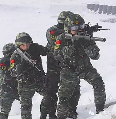 �����ֲ����巨�������µ����練�ֲ������۸�