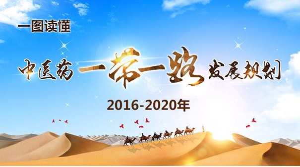 ��ҽҩ��һ��һ·����չ�滮��2016-2020�꣩