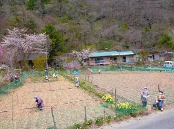 �ձ����������շ�������������...