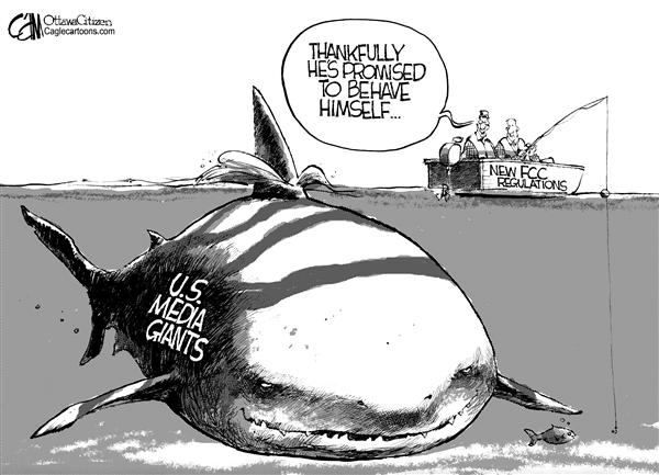 ����������ý�塱���������